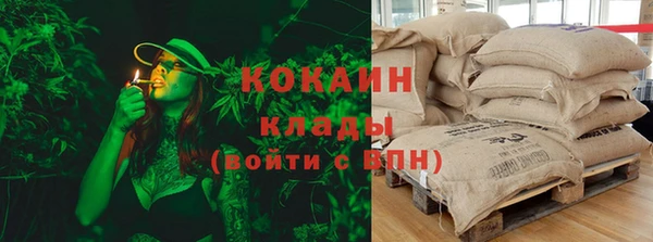 спайс Алексин