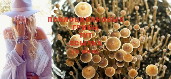 спайс Алексин