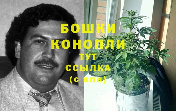индика Абаза