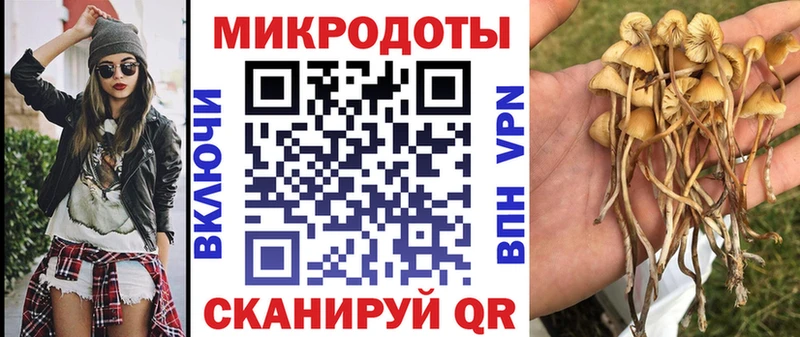 наркотики Сорочинск Галлюциногенные грибы мицелий